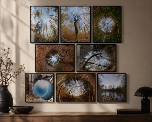 Nine coordinated square Scandinavian forest prints arranged as a gallery wall — Nordic Portal Square Set by Dream Poster