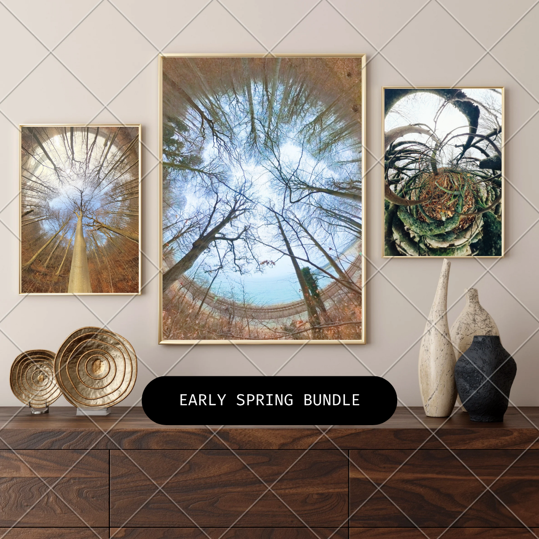 Early Spring Bundle – 11 Nordic nature prints arranged as a gallery wall