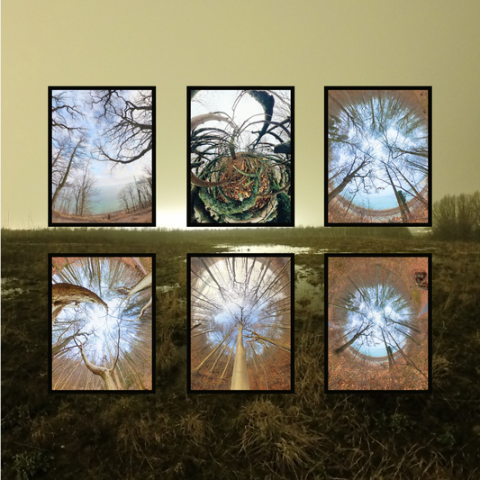 Shadow Lake - Digital Poster