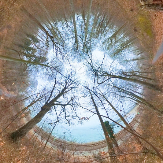 Nordic Arch - Digital Poster