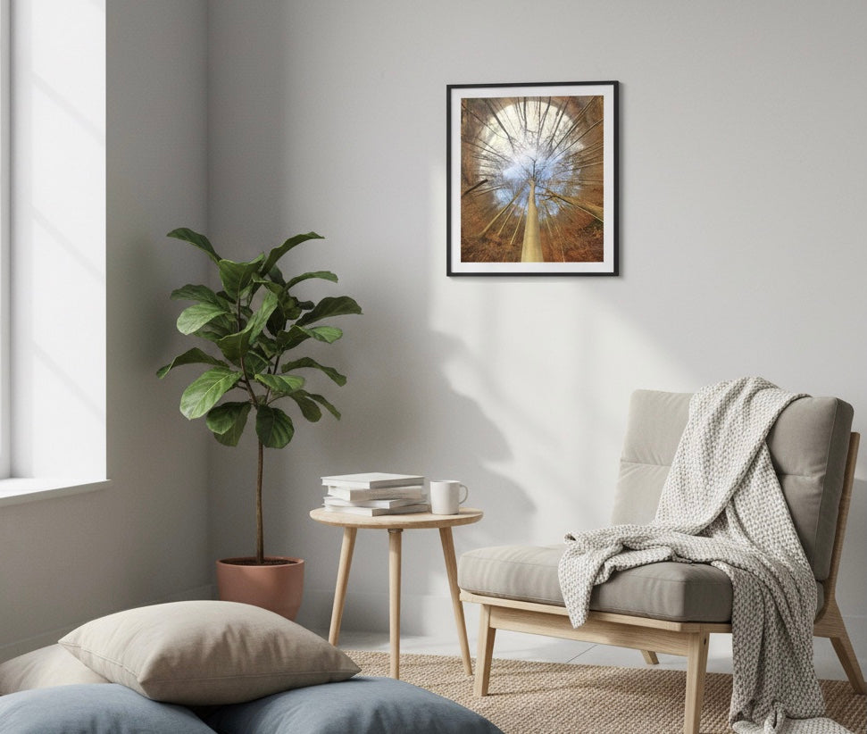 Spiral Forest — Nordic forest poster from Dream Poster