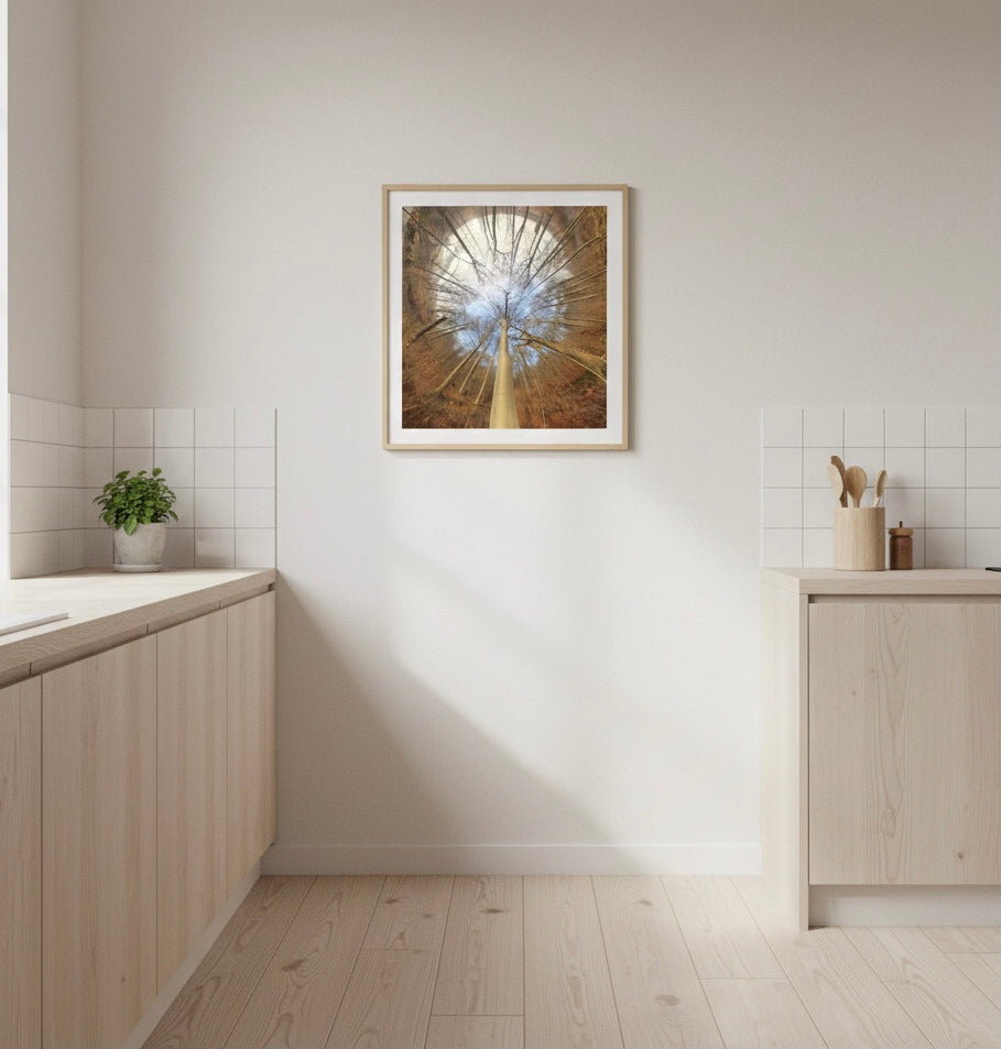 Spiral Forest Poster – Scandinavian Abstract Nature Wall Art