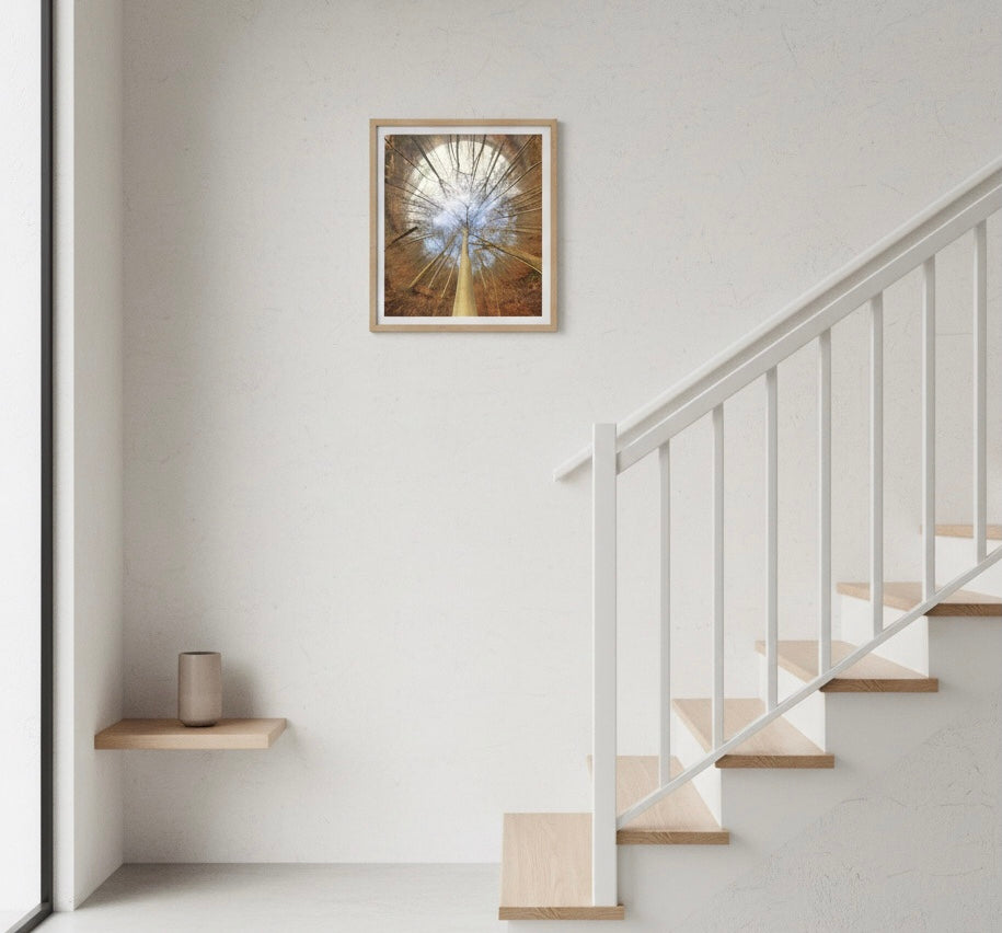 Spiral Forest Poster – Nordic nature landscape art