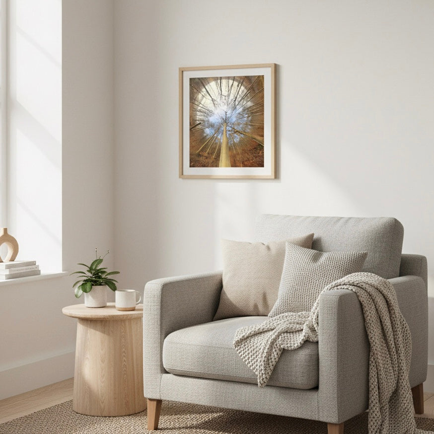 Spiral Forest — Nordic forest poster from Dream Poster