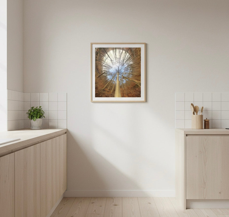 Spiral Forest Poster – Scandinavian Abstract Nature Wall Art
