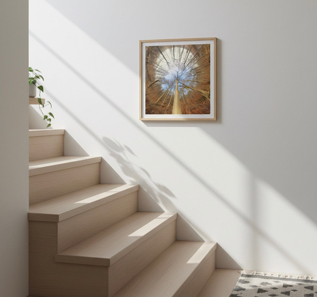 Spiral Forest Poster – Scandinavian Abstract Nature Wall Art