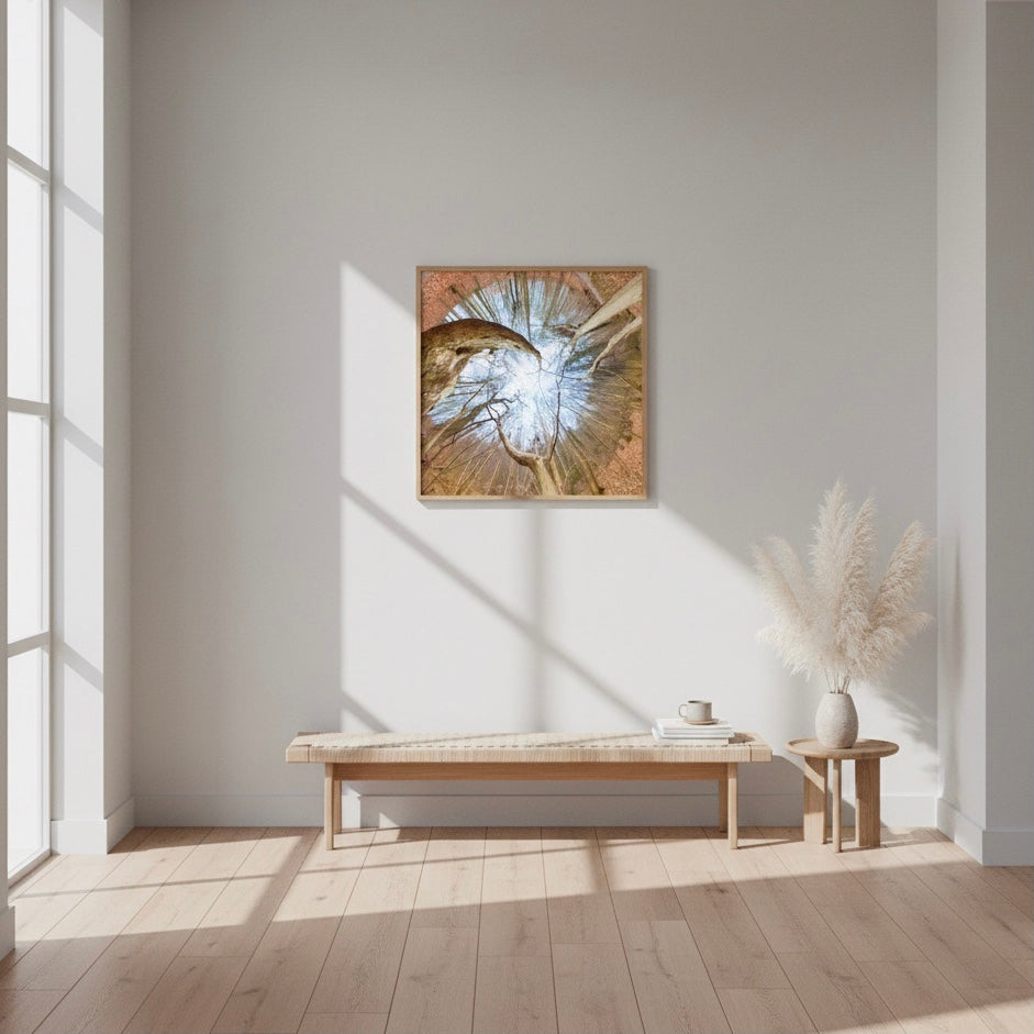 Spiral Tree — Nordic forest poster from Dream Poster