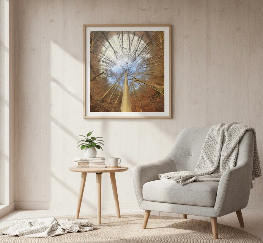 Spiral Forest Poster – Scandinavian Abstract Nature Wall Art
