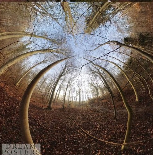 Autumn Forest Portal square printable wall art with warm Scandinavian forest colors