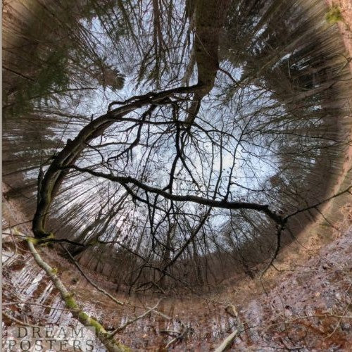 Branch Reflection Portal minimalist square wall art with Nordic branch reflection