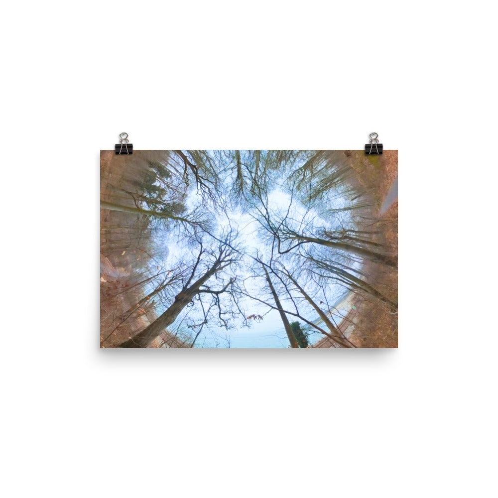 Nordic Arch — Nordic coastal poster from Dream Poster