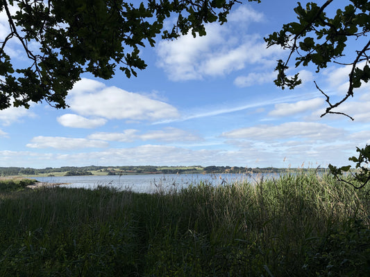 Free Nordic lake poster — a calm Danish lake framed by oak leaves under an open sky, a Dream Poster digital download.