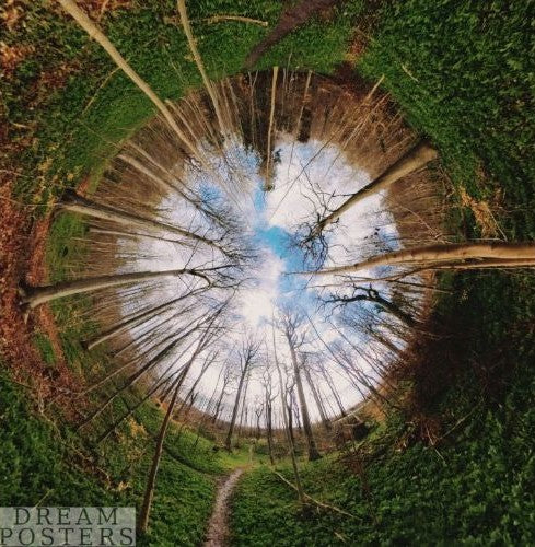 Green Canopy Circle square Scandinavian forest poster with deep green woodland tones